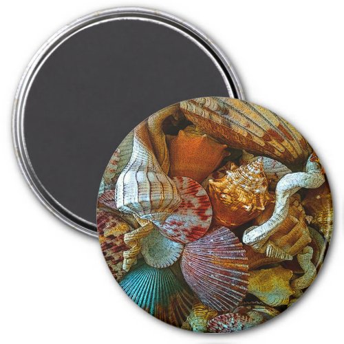 Colorful Abstract Seashells Magnet