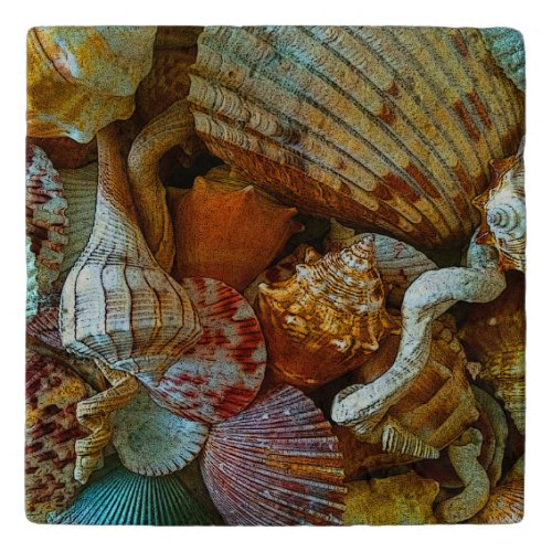 Colorful Abstract Seashells Trivet