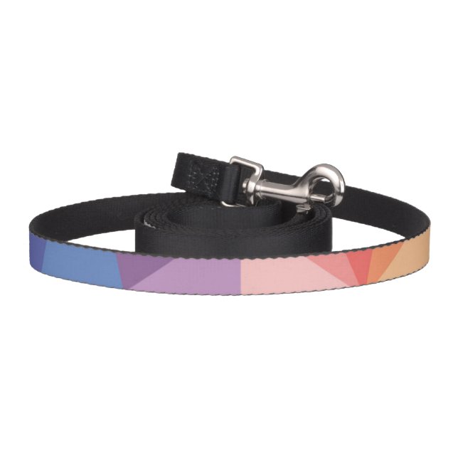 Colorful Abstract Triangle Pattern Pet Leash (Hook)