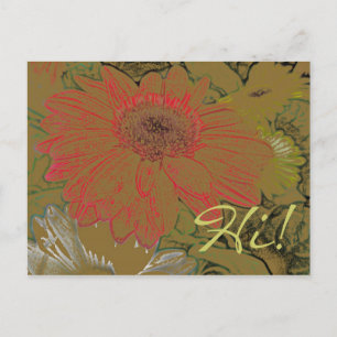 Colorful African Daisies Hi! Postcard