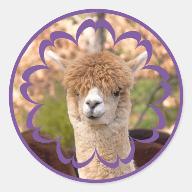 Colorful Alpaca Birthday Stickers (Front)