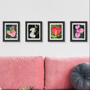 Colorful Anthurium Plant Blooms Wall Art Sets