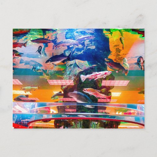 Colorful Aquarium Exhibit with Fish Postcard