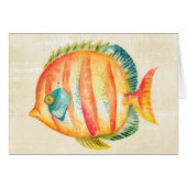 Colorful Aquarium Fish (Front Horizontal)