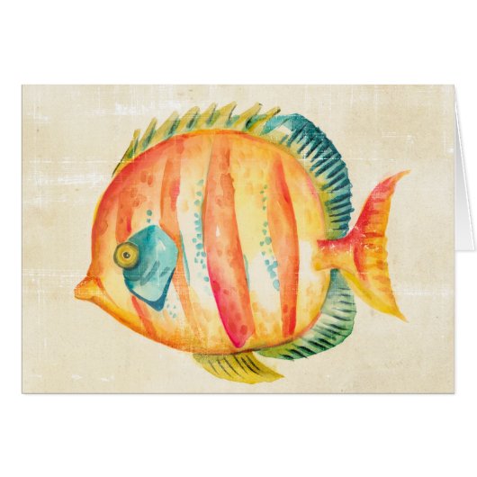 Colorful Aquarium Fish (Front Horizontal)