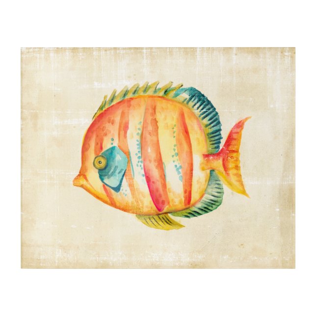 Colorful Aquarium Fish Acrylic Print (Front)