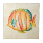 Colorful Aquarium Fish Ceramic Tile<br><div class="desc">Colorful Aquarium Fish  Artist: Chariklia Zarris</div>
