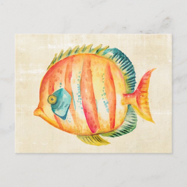 Colorful Aquarium Fish Postcard (Front)