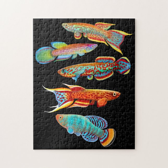 Colorful Aquarium Killifish Puzzle (Vertical)