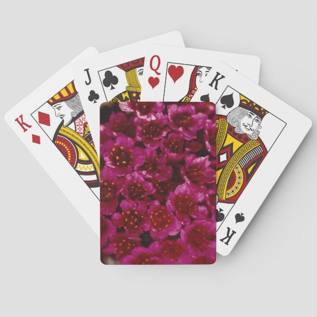 Colorful Arctic Purple Saxifrage Wildflower Design Poker Cards (Back)