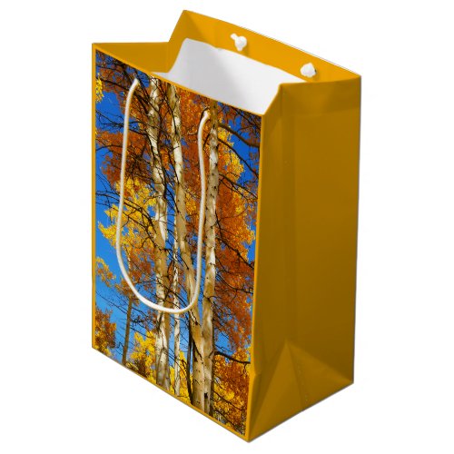 Colorful Aspen in Autumn Fall  Sandy Long Medium Gift Bag