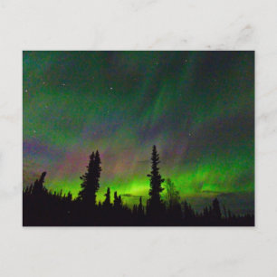 Colorful Aurora over Alaska Postcard