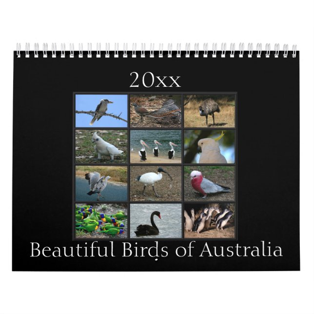Colorful Australian Birds Calendar (Cover)