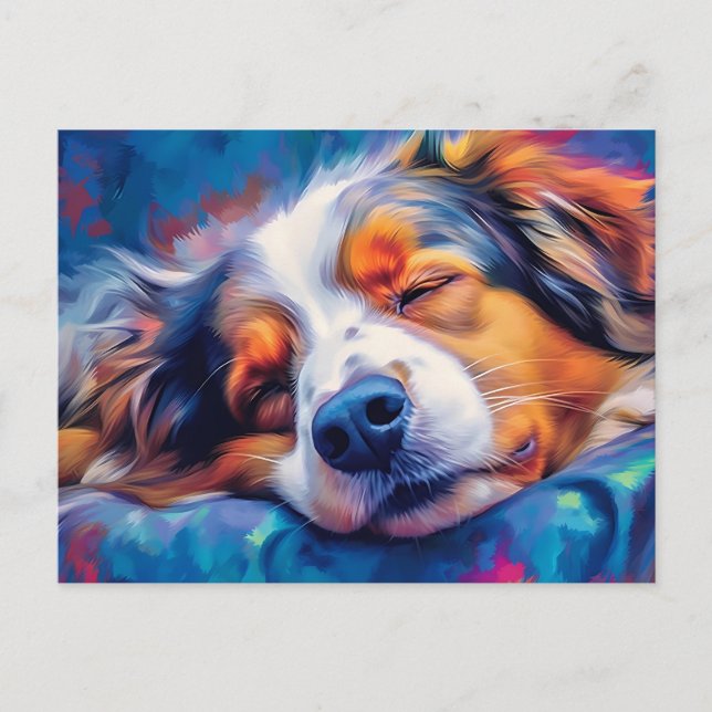 Colorful Australian Shepherd sleeping Postcard (Front)