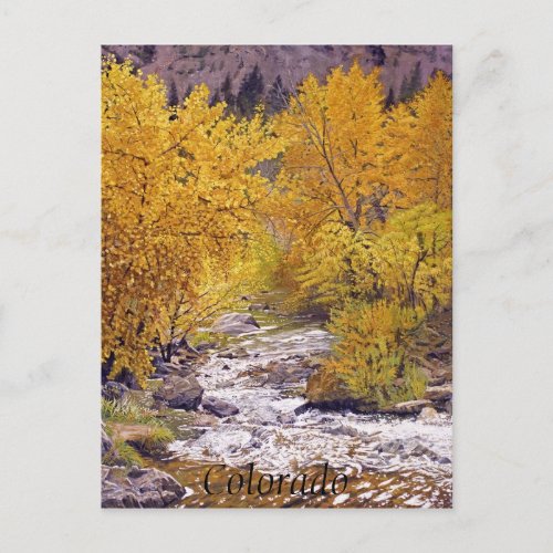 Colorful Autumn Aspen Trees in Morrison Colorado Postcard