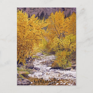 Colorful Autumn Aspen Trees in Morrison Colorado Postcard