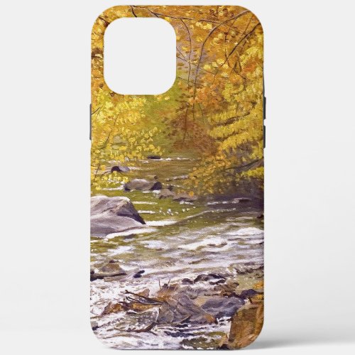 Colorful Autumn Aspens in Morrison Colorado iPhone 12 Pro Max Case