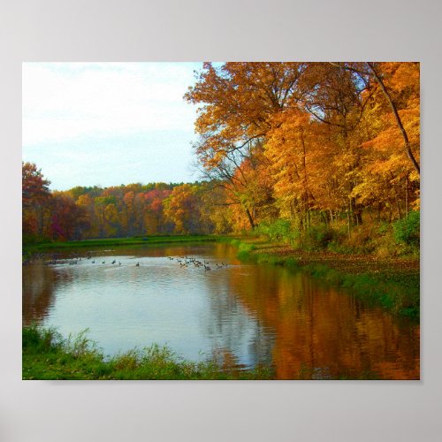 Colorful Autumn At The Lake With Geese Poster