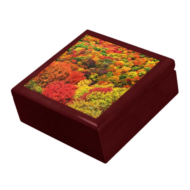 Colorful Autumn Colors Gift Box