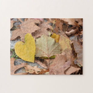 Colorful Autumn Fall Leaves Nature Photography Jigsaw Puzzle