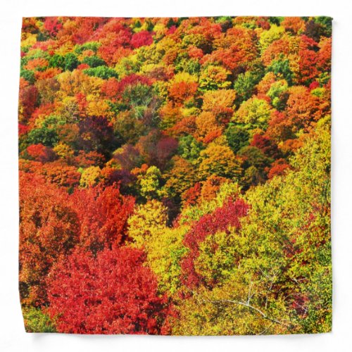 Colorful Autumn Foliage Bandana