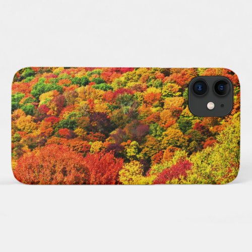 Colorful Autumn Foliage iPhone 11 Case