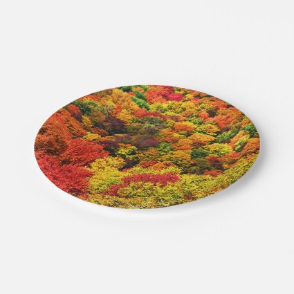 Colorful Autumn Foliage Paper Plates