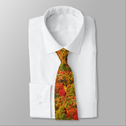 Colorful Autumn Foliage Pattern Necktie