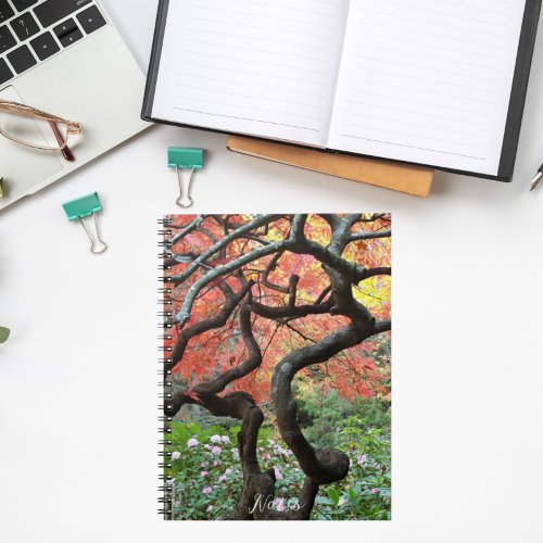 Colorful Autumn Gnarly Japanese Maple Tree Notebook