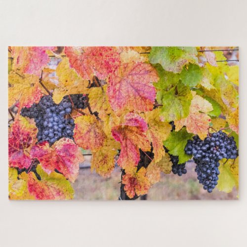 Colorful Autumn Grape Vines in Vineyard Jigsaw Puzzle