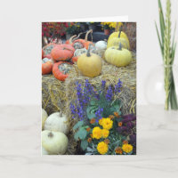 Colorful autumn harvest thanksgiving card