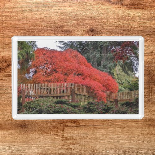 Colorful Autumn Japanese Garden Landscape Acrylic Tray