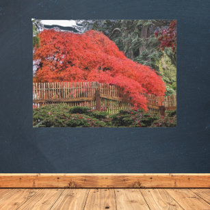 Colorful Autumn Japanese Garden Landscape Canvas Print