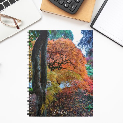 Colorful Autumn Japanese Maple Leaves Notebook
