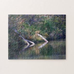 Colorful Autumn Lake Logs and Reflection Scene Jigsaw Puzzle