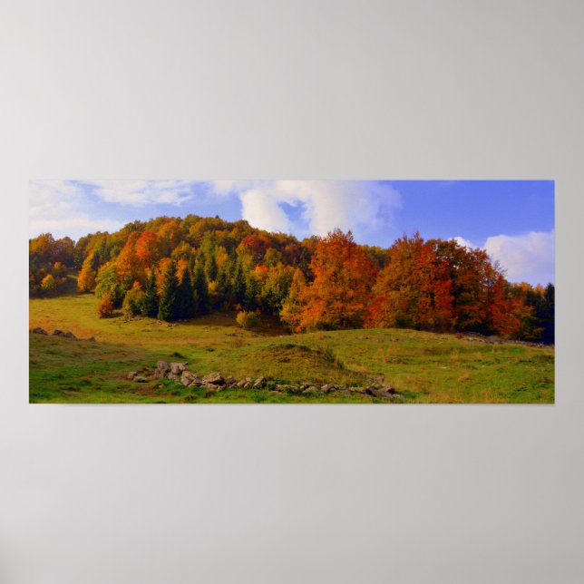 Colorful Autumn Landscape Poster (Front)