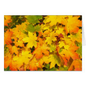 Colorful Autumn Leaves (Front Horizontal)