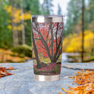 Colorful Autumn Leaves and Trees Landscape Insulated Tumbler