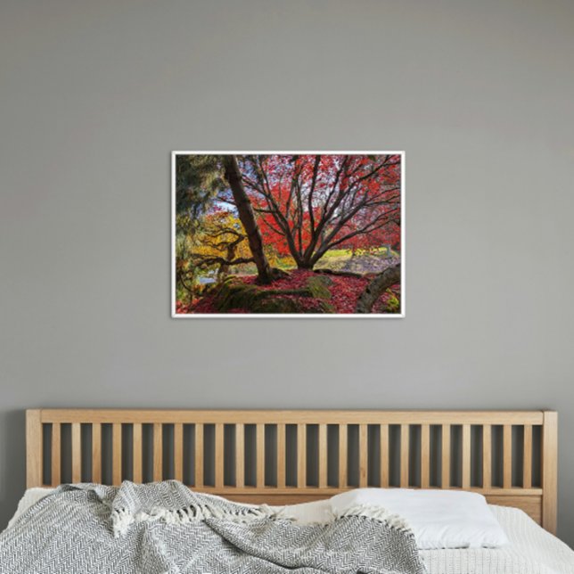 Colorful Autumn Leaves and Trees Landscape Poster (In Situ)