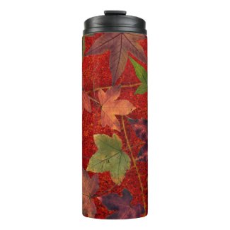Colorful Autumn Leaves Brown Red Green Tumbler