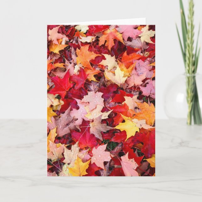Colorful Autumn Leaves Card (Front)