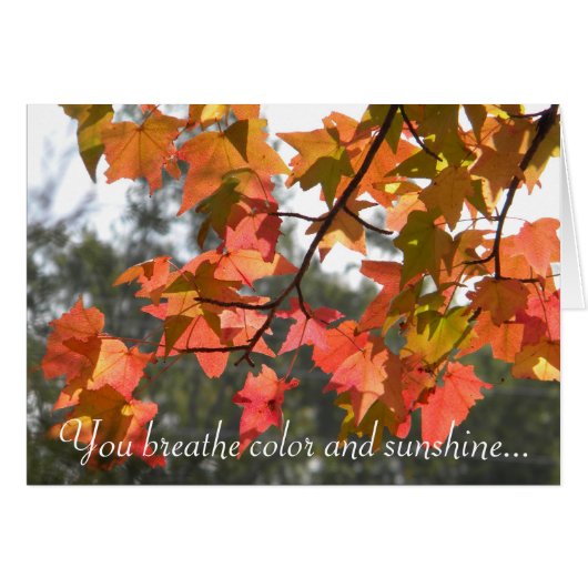 Colorful Autumn Leaves Cards (Front Horizontal)