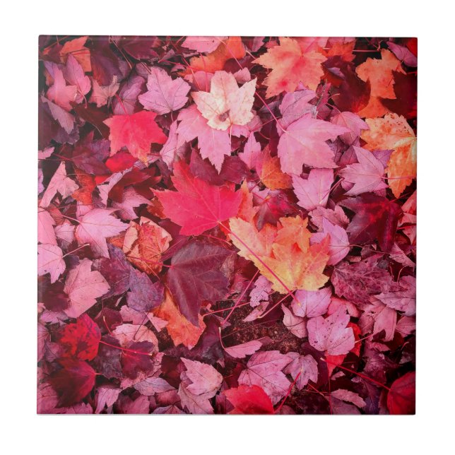 Colorful Autumn Leaves Ceramic Tile (Front)