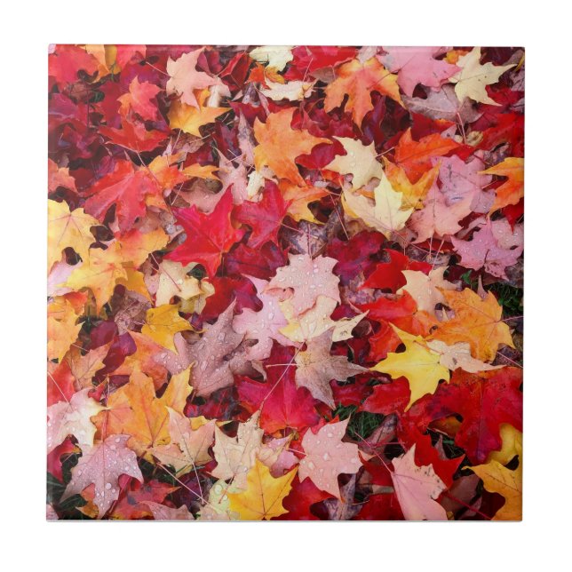 Colorful Autumn Leaves Ceramic Tile (Front)