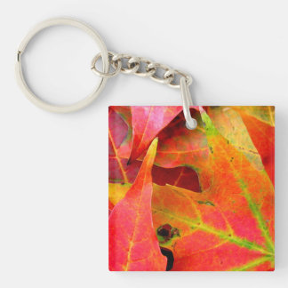 Colorful Autumn Leaves CloseUp Keychain