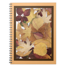 Colorful Autumn Leaves Collage Brown Orange Framed