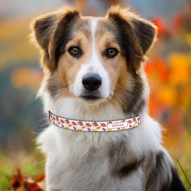 Colorful Autumn Leaves Fall Foliage And Pet's Name Pet Collar (Please note: This image is a digital mockup. The product may not be in scale.)
