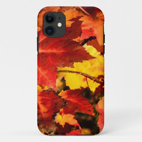 Colorful Autumn Leaves gold red orange maple leaf iPhone 11 Case