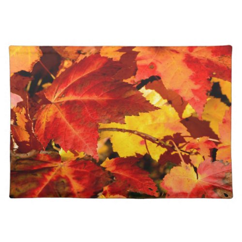 Colorful Autumn Leaves gold red orange maple leaf Cloth Placemat