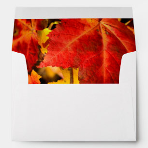 Colorful Autumn Leaves, gold red orange maple leaf Envelope